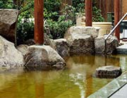 バーデと天然温泉 豊島園 庭の湯