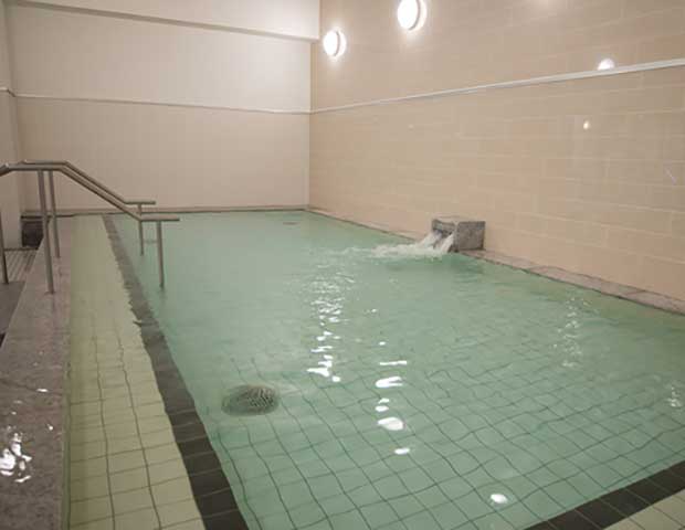 http://thermae-yu.jp/spa/index.html